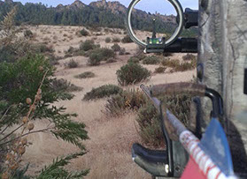 val feitoso, chasse à l'arc