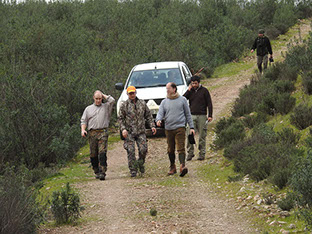monteria au portugal, entre deux traques