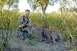 chasse à l'approche, grand cerf sélectif
