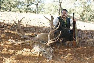 grand cerf chassé en monteria