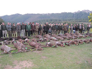 tableau de chasse d'une journée de montéria à Val Feitoso