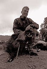 gros sanglier chassé en monteria au Portugal