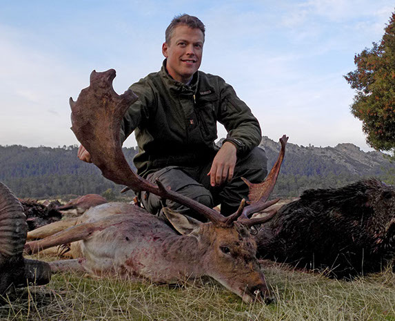 grand daim chassé en monteria au Portugal