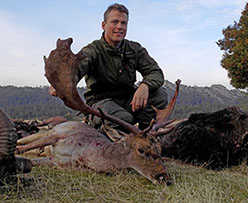 grand daim chassé en monteria au Portugal